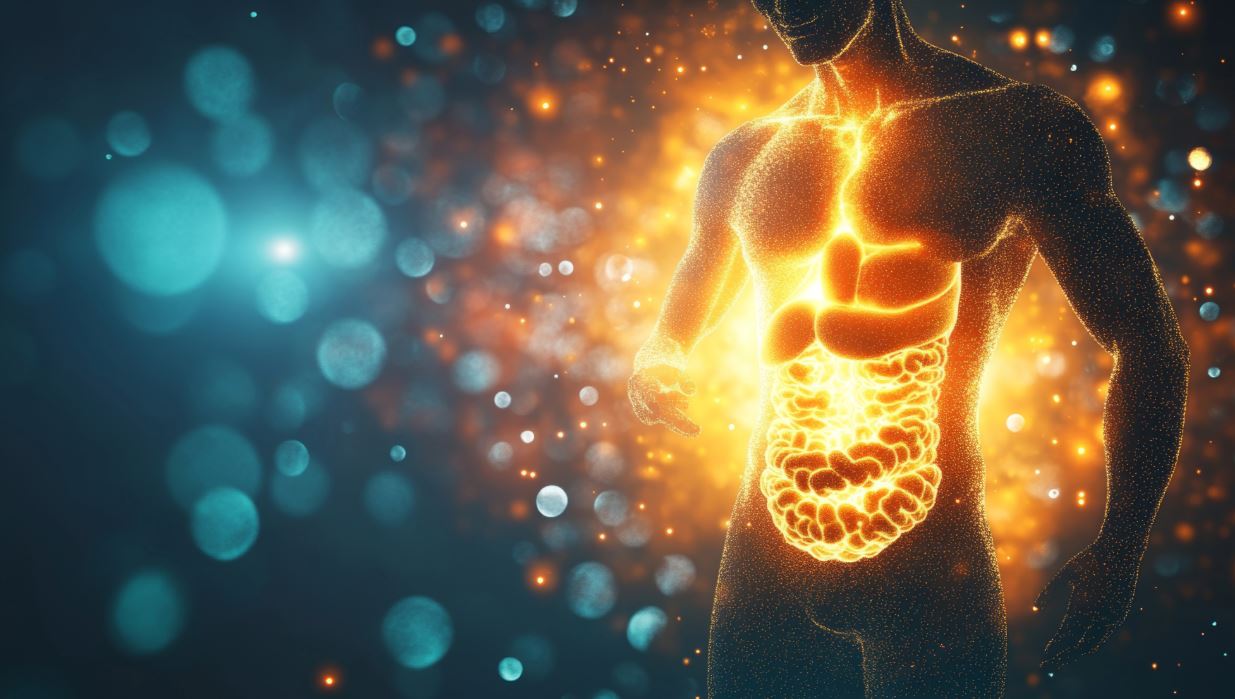 Gut Health and the Integrity of the Gut Barrier